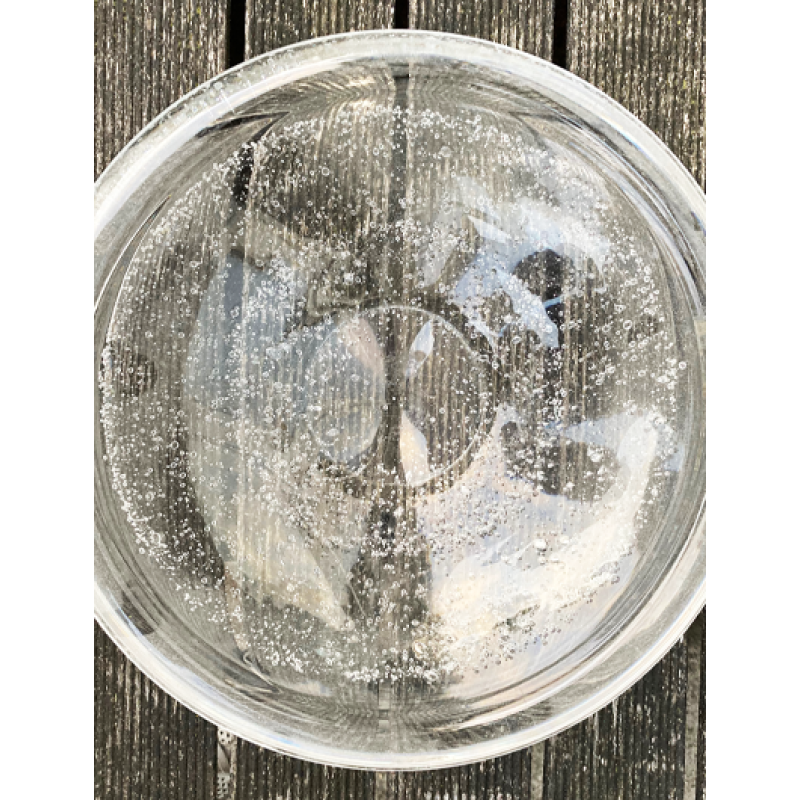 Siem van de Marel Avalon schaal